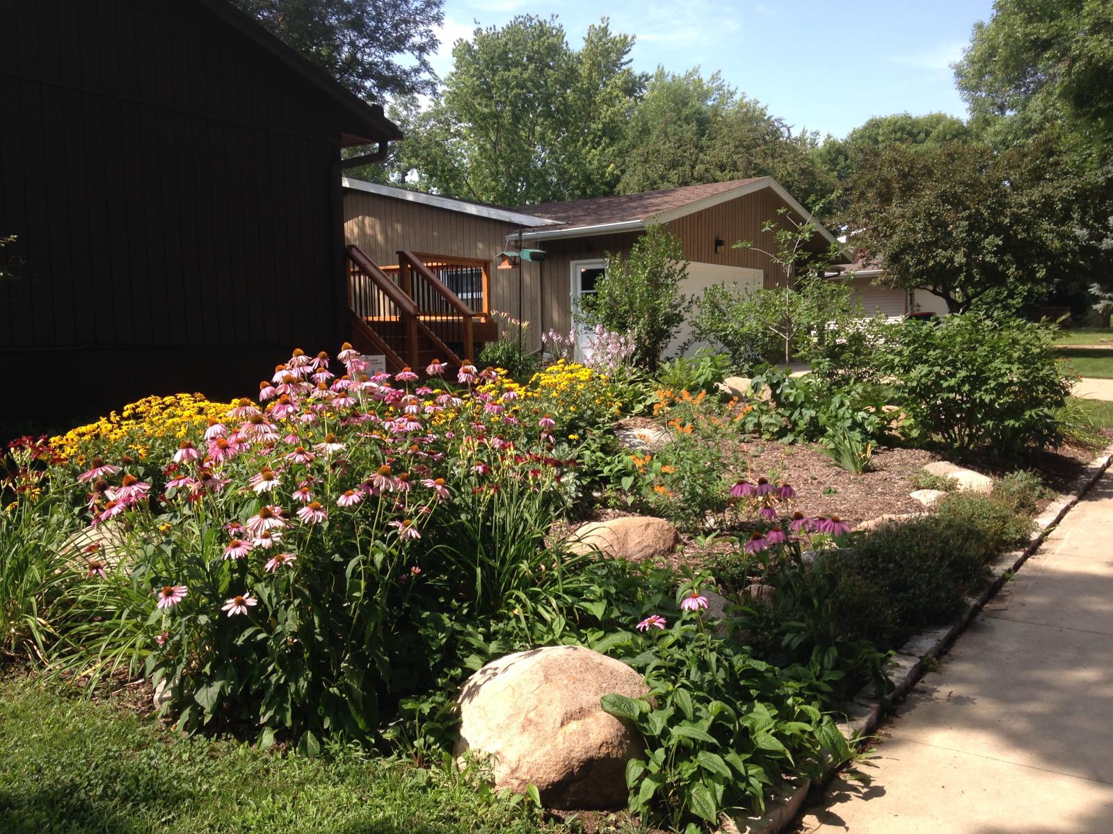 The deep, extensive roots of native plants can stabilize the soils and prevent erosion. (Installed in 2009)